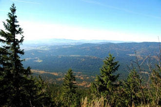 Bayrischer Wald: Blick vom Groen Falkenstein (1312m) 