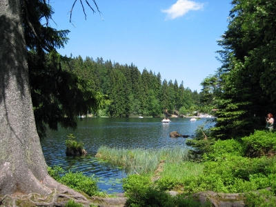 Arbersee im Bayerischen Wald