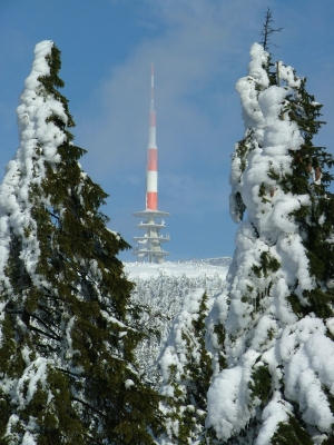 Der Harz