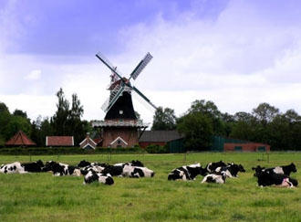 Nordsee: Windmühle in Rhaude (Ostfriesland)