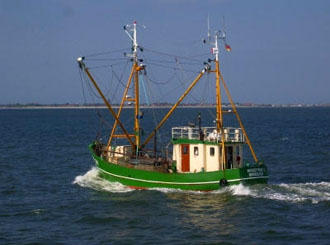 Nordsee: Fischkutterfahrt