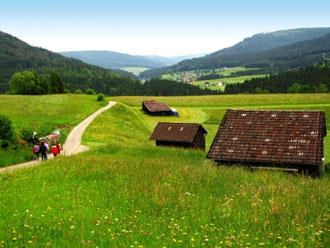 Wandern im Schwarzwald